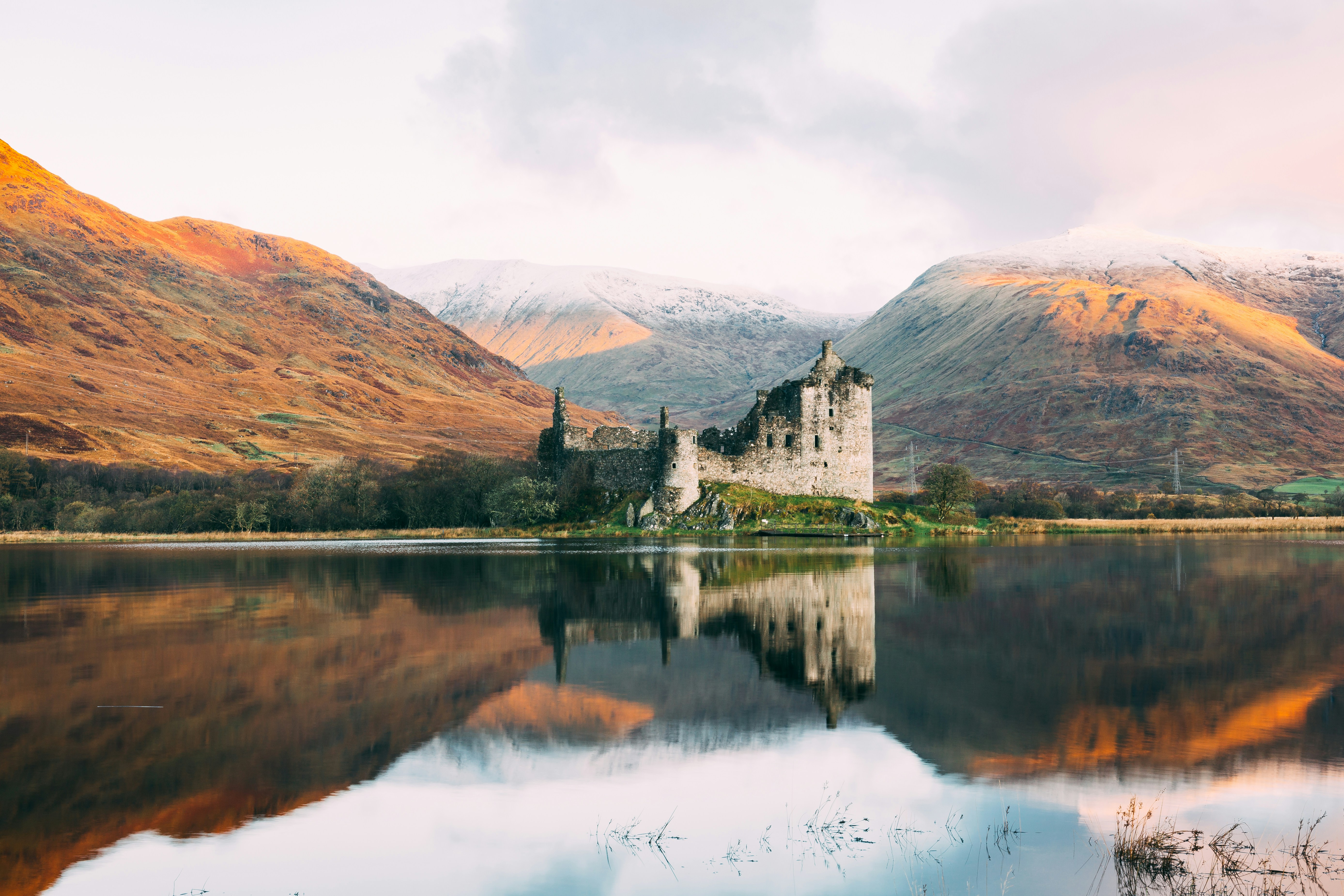 Foundation Workshop 2 l Schema Therapy: Beyond The Basics, September 2026 l Online Training I Schema Therapy Scotland