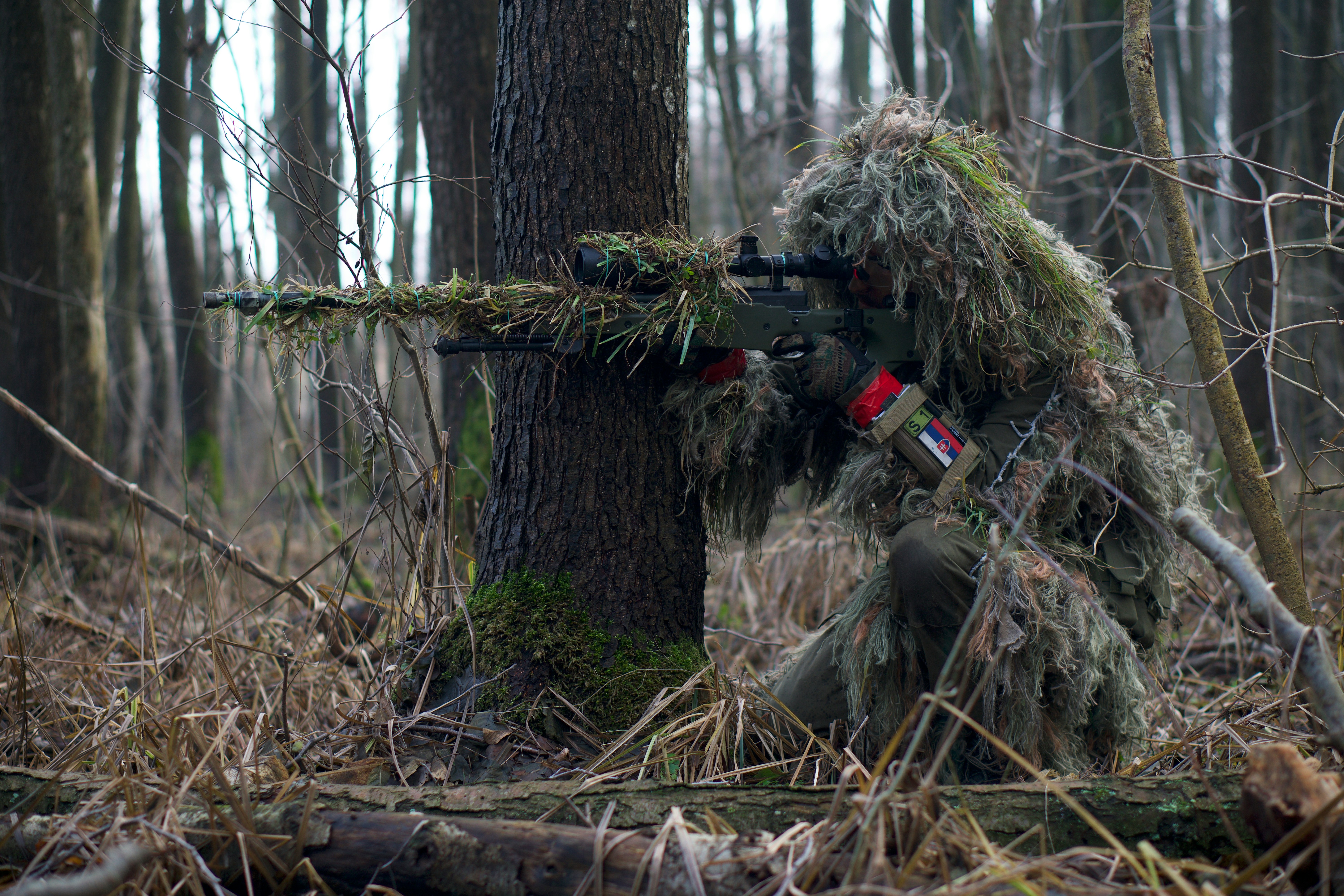 Modes in Camouflage: Recognising, Unmasking, and Working Coping Modes in Disguise l Online Training I October 2026 I Schema Therapy Scotland